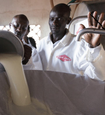 milk production in Kenya