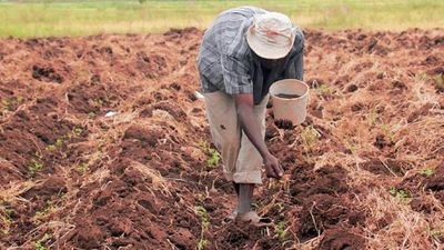Furore as fertiliser price rises