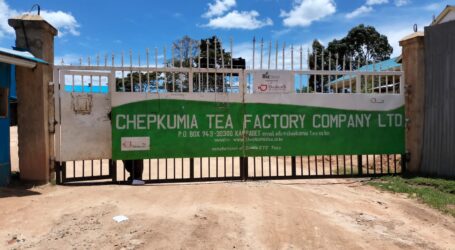 Dreams brewed to reality: The inspiring story of a farmer and Nandi county’s finest Tea Factory