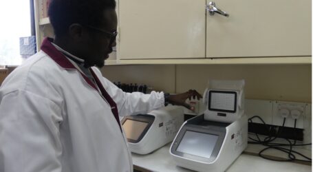 Scientists develop new tool to enhance surveillance of Rift Valley fever virus