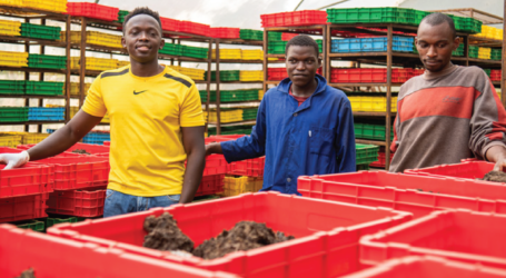 Youth turning organic waste and insect poop into gold