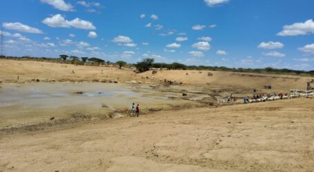El Nino rains to bring relief to drought-hit East Africa: FAO report