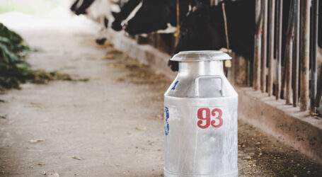 Kenya Dairy Board’s principles of clean milk production